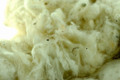 VC Worx Monster Clouds - Raw Organic Cotton Wick - (Bag)