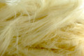 VC Worx Natural Organic Hemp Fibers Vape