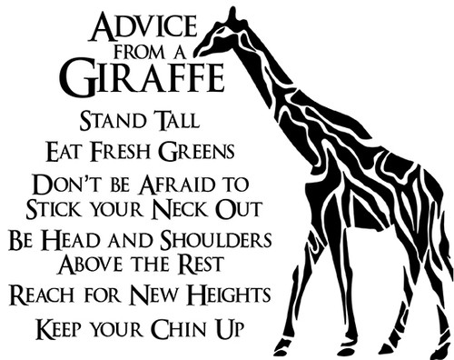 SD988 Advice from a Giraffe