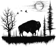 Forest Buffalo