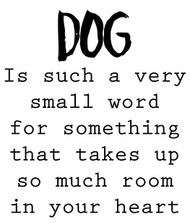 Dog is a Small Word
