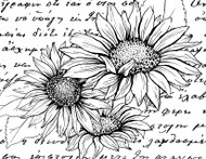 Sunflowers with Text