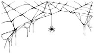 Dripping Spider Web
