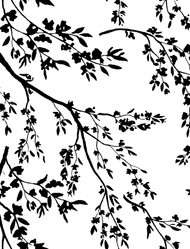 Tree Branch Silhouette Background