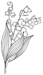 Lily of the Valley Branch