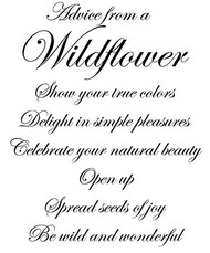 Advice from a Wildflower