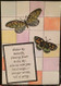 Butterfly 5
Big Winged Butterfly
Flutter By
Artist: Pat Huntoon