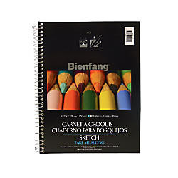 Bienfang Drawing Bristol vellum 9 in x 12 in. PACK OF 2