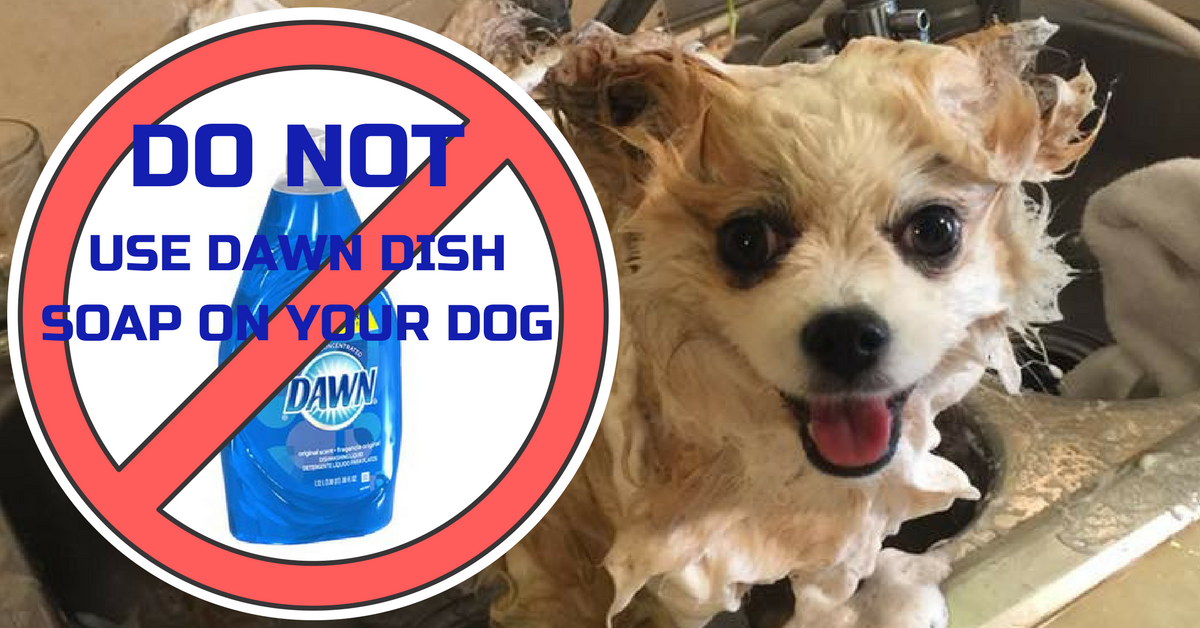 dawndishsoap.png