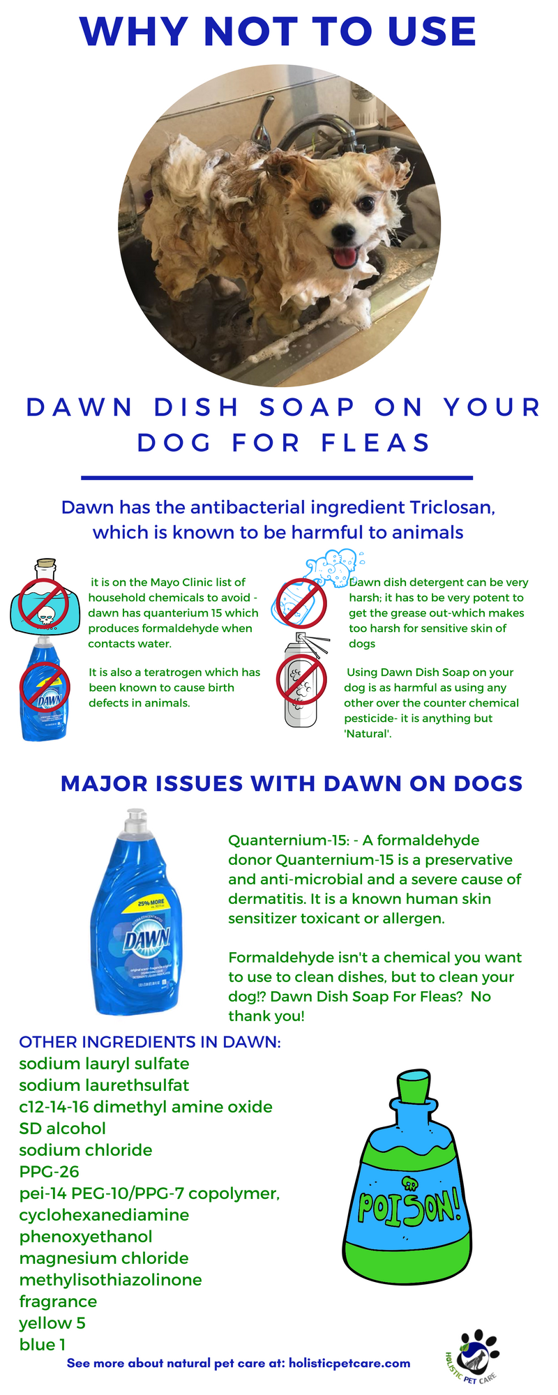 dawnsoapforfleas.png dawnsoapforfleas.png