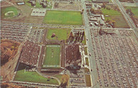 Cougar Stadium (33592-C)