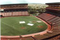 Aloha Stadium (VIP 318)