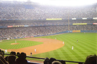 Yankee Stadium (CafePress-Yankee 4)