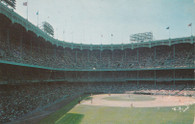 Yankee Stadium (499)