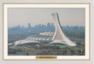 Olympic Stadium (Montreal) (494)