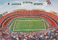 Giants Stadium (159878)