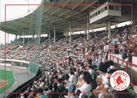 McCoy Stadium (No# 5x7 Pawtucket Red Sox)