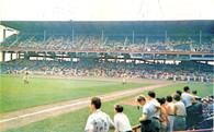 Ebbets Field (771-923)