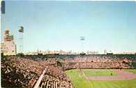Seals Stadium (YL 7789)