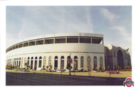Ohio Stadium (Landmark Photography 3)