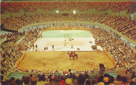 Los Angeles Memorial Sports Arena (P30457)