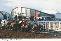 Saddledome (L-97253-D)