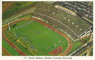 L.T. Smith Stadium (8DK-1161)