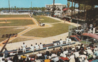 Jackie Robinson Ballpark (TX-9)