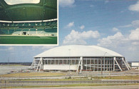 Texas Stadium (ICS-105713L2)