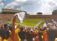 Tiger Stadium (LSU) (2012 LSU Issue 4)