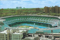 Yankee Stadium (1224)