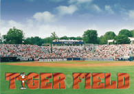 Tiger Field (K28872)
