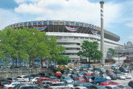 Yankee Stadium (CafePress-Yankee 1)