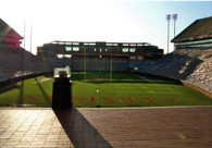 Memorial Stadium (Clemson) (CafePress-Clemson)