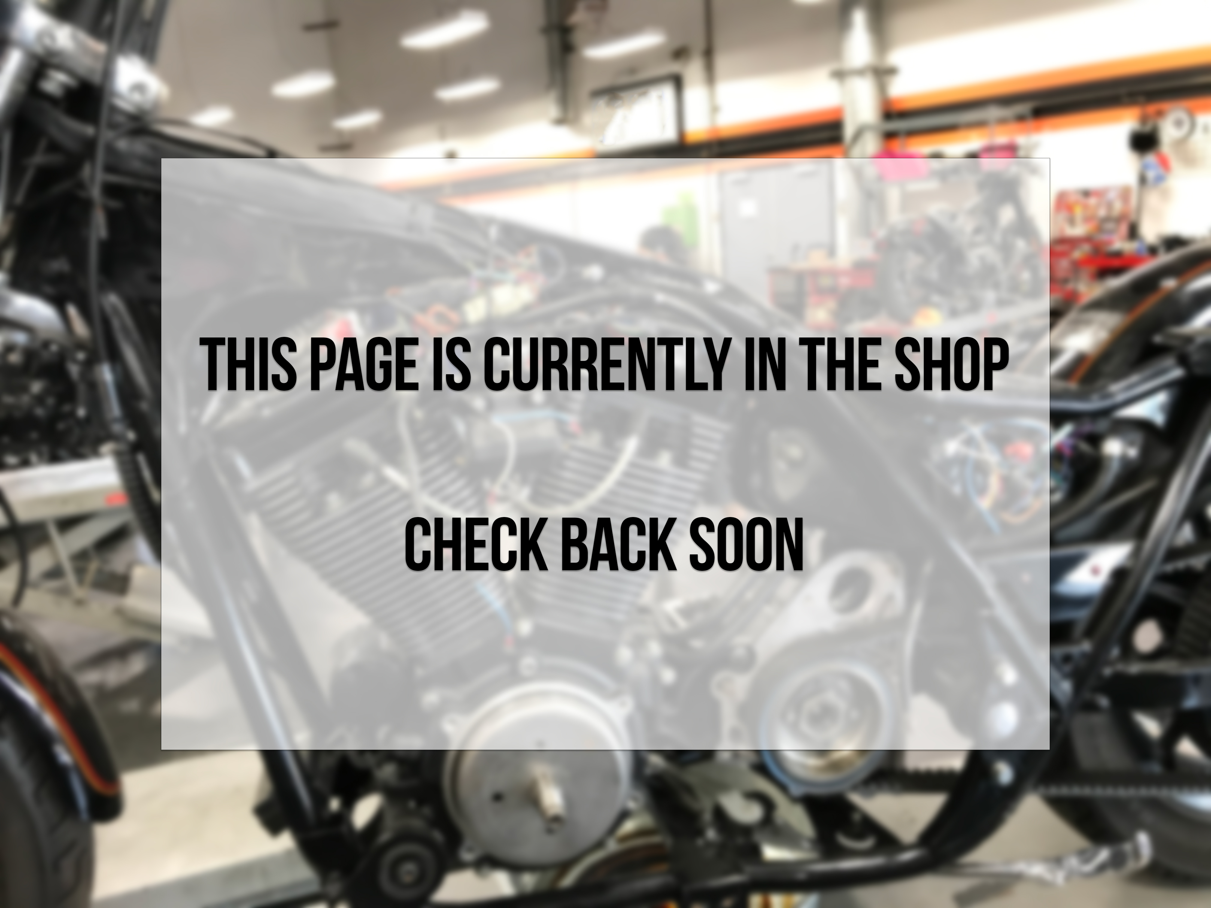 intheshop.jpg