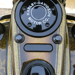 Dash Indicator Block-off Plate