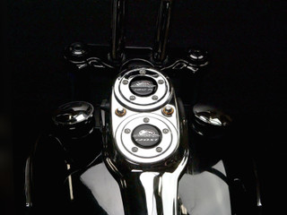 31State Dual Timer Cover Plates -Satin Polished