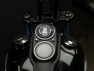 31State Dual Combo Cover Plates -Gloss Black