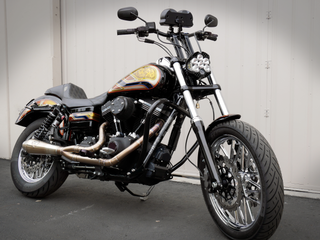 2006-2017 Dyna Baja Designs LP4/LP6 Headlight Harness | #24060-9005