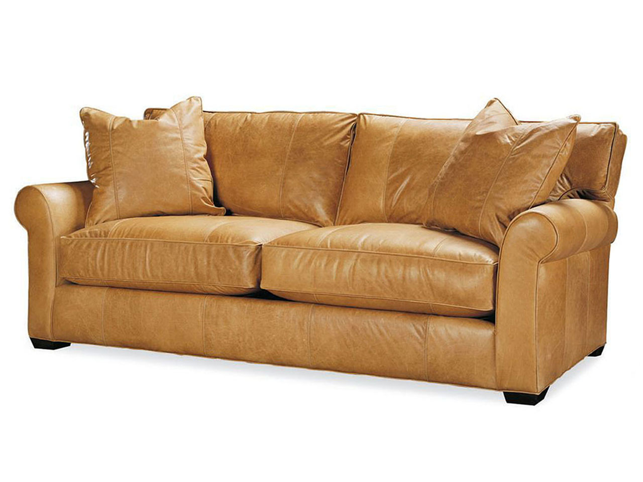 Jessie Leather Queen Sleeper Leather Sleeper Sofas & Sofa Beds - Jessie Leather Queen Sleeper Leather Sleeper Sofas & Sofa Beds