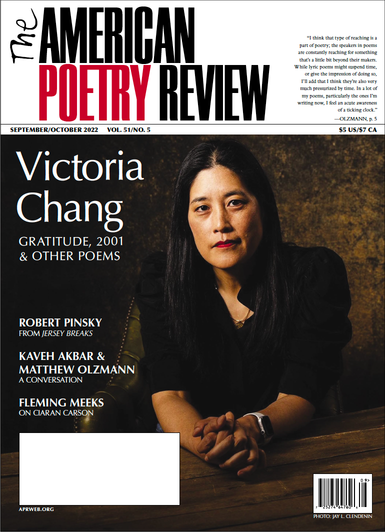 Review the poem, American-American (PDF), and in