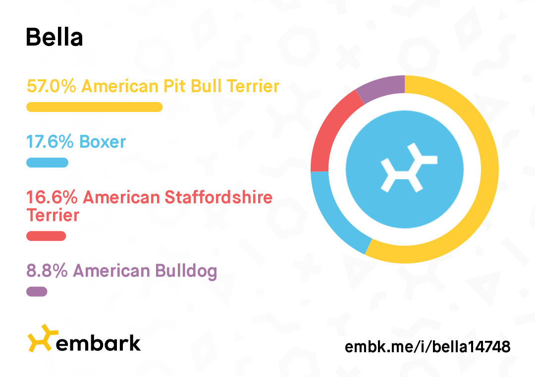 Bella's partial DNA results image