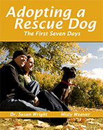 adopting-a-rescue-dog.jpg
