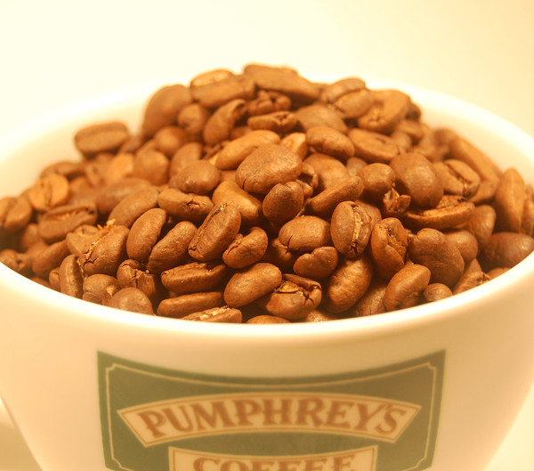 Mandheling Pumphreys Coffee