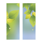 Summer Leaves & Raindrops Banner