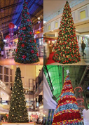The Hampshire Giant Tree is a cone shaped tree.

The conical Hampshire giant tree is available in seven different sizes and fits in with any decorative theme. 

This tree comes in sections that bolt together. The garland is already attached, making a perfect conical shape.

With thick garland, this tree is easy to decorate with lighting and bulbs for any theme this holiday season. 

