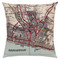 Brighton and Hove cushion
