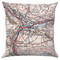 Todmorden map cushion in linen