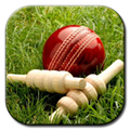 cricket-79348.jpg