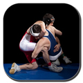 wrestling1-63203.jpg